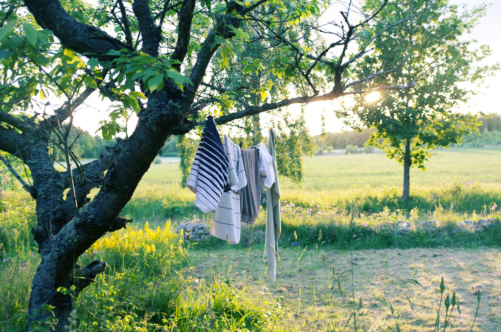 Hot summer afternoon